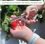 Plant Pruning Shears Garden Trimming Scissors Precision Hand Pruner Herb Snips Flower Clippers Bonsai Trimmers Straight Sharp Blade Tapered Tip Ergonomic Handle Modern Garden Tools