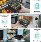 TinyPalsa Bento Box for Kids with 10oz Thermos, Durable Lunch Box with Leak Proof Insulated Food Jar, 3 Compartments with Portable Handle for Ages 3+, Dishwasher Safe, Ideal for School, Travel (Car)
