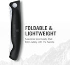 Victorinox Swiss Classic Foldable Paring Knife, Straight Edge Black 4.3 in