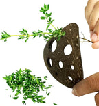 All-Natural Herb Stripping Tool | Herb Stripper with 9 Holes | Herb Peeler for Thyme, Cilantro, Rosemary, Basil, Kale, Chard, Beets, etc | Eco Friendly Kitchen Gadget | Metal & Plastic Free