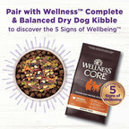 Wellness Bowl Boosters, Dog Food Topper for Small, Medium, & Large Breeds, Grain Free, Natural, Freeze Dried, Heart Health Chicken, 4 Ounce Bag (Pack of 1)