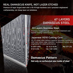 8" Chef's Knife, Japanese Damascus Chefs Knife 67 Layers High Carbon VG10 Steel Core with Wood Ergonomic Handle, Gift Box