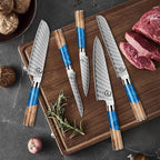 5 Piece Damascus Knife Set, Professional Japanese Knife Set with Japanese VG 10 Steel Core, Blue Resin Handle, Includes Chef, Santoku, Bread, Boning & Paring Damascus Knives in Gift Box