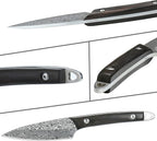 WILDMOK Fruit Knife Paring knives Stainless Steel 3.3 Inch Utility Knife Fruit and Vegetable Cutting Carving Kitchen Knife with Leather Case (B)