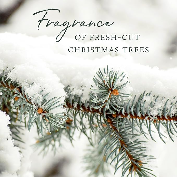 Thymes Frasier Fir Reed Diffuser Set – Includes Reeds, Fragrance Oil, and Frosted Glass Bottle – Fragrance Oil Diffuser – Room Fresheners – Luxury Home Decor – White (Flocked, 4 fl oz)