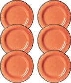 LEHAHA Melamine Salad/Dessert Plates, Crackled Design Plates Set of 6, 9 inch Small Dinner Plates, Modern Rustic Kitchen Serving Dishes for Party, Picnic and Camping Use, Orange