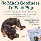 WOOF Pupsicle Refill Pops for Calming - Long-Lasting Refills for The Pupsicle Toy to Promote Calm - Calming Dog Treats - Magnesium for Dogs- Large Pops - 7 Count