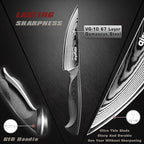 4.5 Inch Paring Knife, Damascus Steel Chef Knife with Ergonomic G10 Handle, VG10 High Carbon Steel, Professional Kitchen Knife for Fruit Vegetable Carving, Ultra Sharp Blades