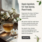 Numi Organic Tea Jasmine Green, 100 Count Box of Tea Bags (Packaging May Vary)