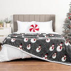 PAVILIA Premium Christmas Sherpa Throw Blanket | Snowman Decoration, Fleece, Plush, Warm, Cozy Reversible Microfiber Holiday Blanket 60x80