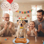 BoneItUp Dog Birthday Cake Kit - Bake Birthday Cakes for Dogs - Dog Party Supplies Set with - Large Cake Mold, 3 Vet-Backed Cake Recipes, 2 Drawing Pens, 10 Balloons, Birthday Hat & Bow