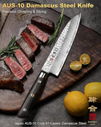 Japanese Chef Knife Kitchen Knife with 67 Layers Damascus Steel AUS-10 Core, Professional Damascus Knife with Full-Tang Ebony Wood Handle and Premium Gift Box(8.27 Inch Gyuto Chef Knife)