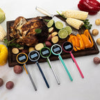 Pocket Pro 1-Second Instant Read Digital Meat Thermometer Rechargeable for Grilling, Food, BBQ, Kitchen Cooking, Oil Deep Frying & Candy (Boudoir)
