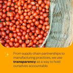 Counter Culture Coffee - Fresh Roasted Certified Organic Whole Bean Coffee (Kosher) (Even Keel Double Pack)