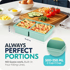 2 cup Silicone Freezer Trays with Lids, Silicone Soup Freezer Molds, Easily prepare portioned meals, Great for storing soups, lasagna, leftovers, sauces and other dishes, Dishwasher, Oven Safe