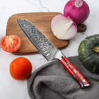 Chef Cooking Knives Set- Kitchen Knife Set of 5 Piece - Ultra-Sharp VG10 Damascus Steel & Resin Handle - Xuan Series (Sunset Red)