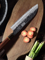 HOSHANHO Chef's Santoku Knife 7 Inch, Professional Japanese High Carbon Steel Chef Knife, Ultra Sharp Kitchen Knife with Octagonal Rosewood Handle