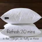 16x16 Decorative Throw Pillow Inserts-Down Feather Pillow Inserts-Square-Cotton Fabric-Set of 2-White.