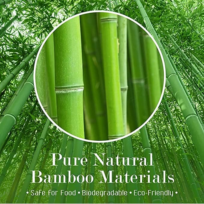 10 Inch(200 Pack) Bamboo Wooden Paddle Picks Skewers for Grilling，Appetizers，Fruit Kabobs，Sandwich，Barbeque Snacks…