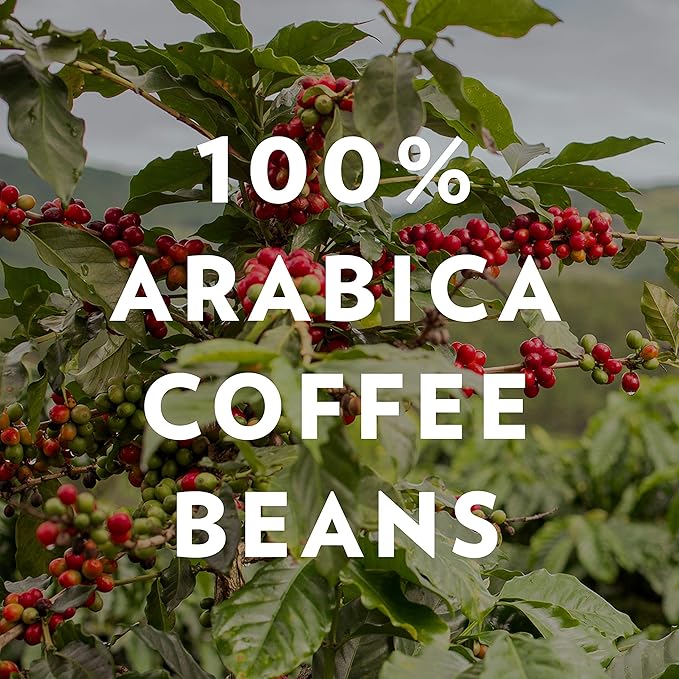 Community Coffee Premium Ground Coffee, Signature Blend, Dark Roast, 12 Ounce (Pack of 2)
