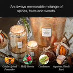 Japonica Collection Large - Gilt Pomander and Hinoki Reed by Voluspa for Unisex - 18 oz Candle