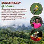Low Acid Organic Coffee – Whole Bean, Mold-Free & Stomach Friendly by Java Planet, Black Magic Blend Coffee, Medium Dark Roast, Smooth Full Flavored, 5LB Bag