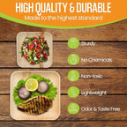 Raj Palm Leaf Plates Bulk [50-Pack] 10" & 7" Square Plates (5 CASES - 250 PACK) like Bamboo plates Disposable, Strong, Decorative Compostable Tableware for weddings, Lunch, Dinners
