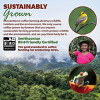 Low Acid Organic Coffee – Whole Bean, Mold-Free & Stomach Friendly by Java Planet, Colombian Single Origin, Medium Dark Roast, Smooth Full Flavored, 5LB Bag