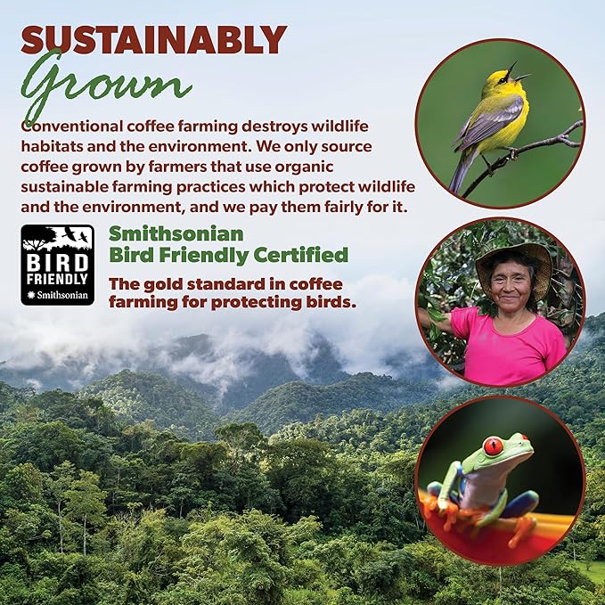 Low Acid Organic Coffee – Whole Bean, Mold-Free & Stomach Friendly by Java Planet, Colombian Single Origin, Medium Dark Roast, Smooth Full Flavored, 2x1LB Bag